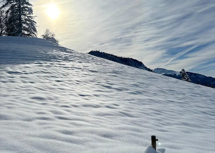 Hermine Chalet Megève